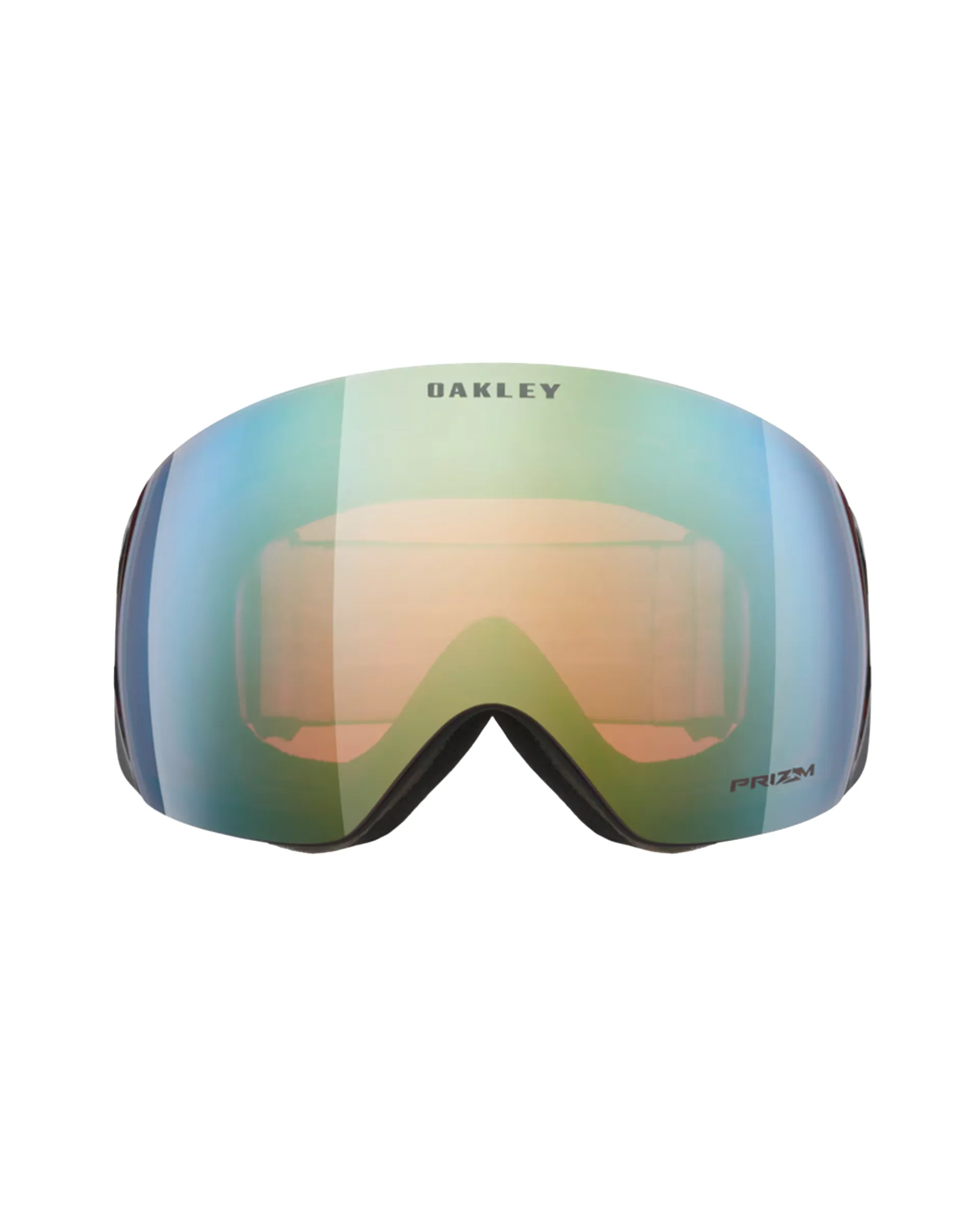 Flight Deck™ L Snow Goggles